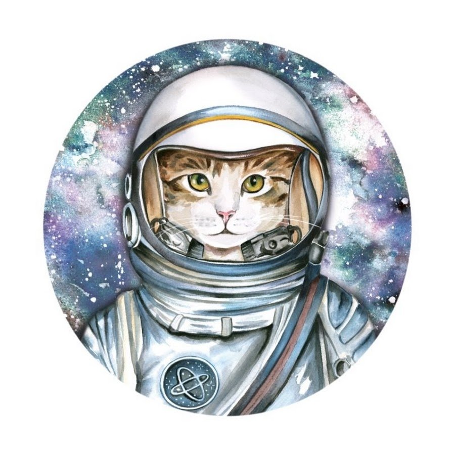 Коты космонавты