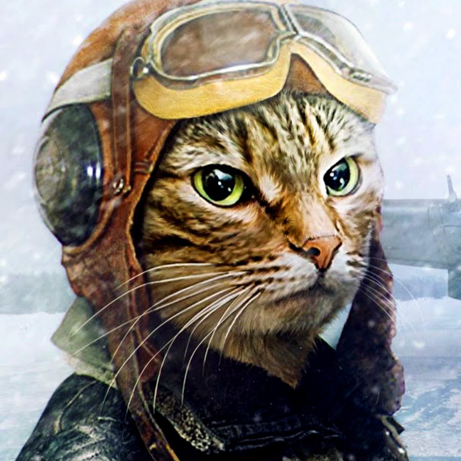 Картина по номерам кот летчик