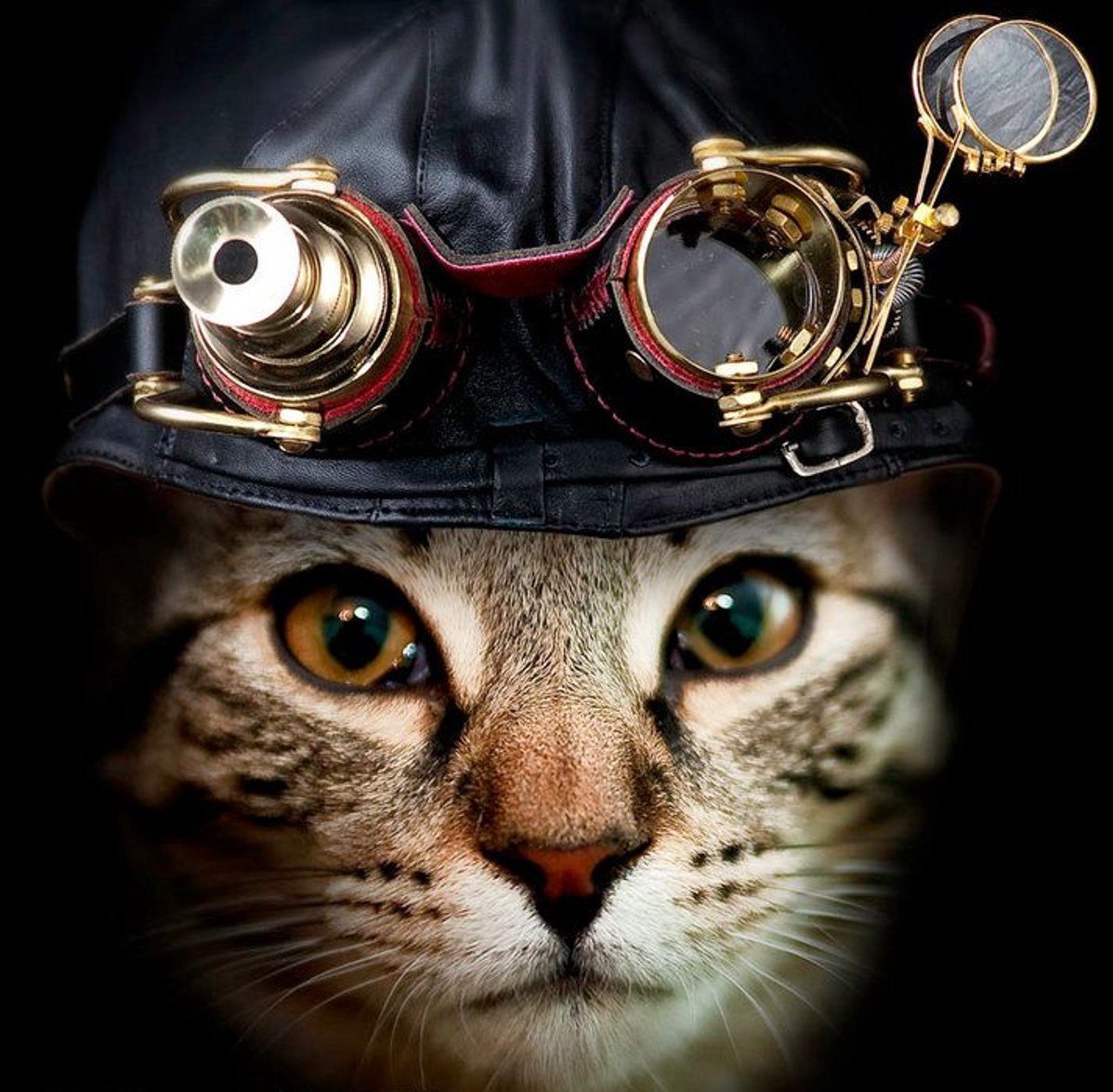 Кот в стиле стимпанк