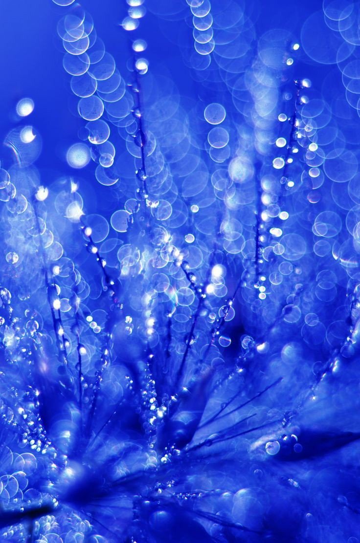 Красивый синий цвет