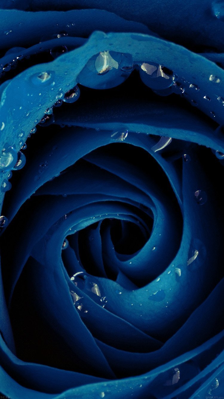 Синие обои на телефон