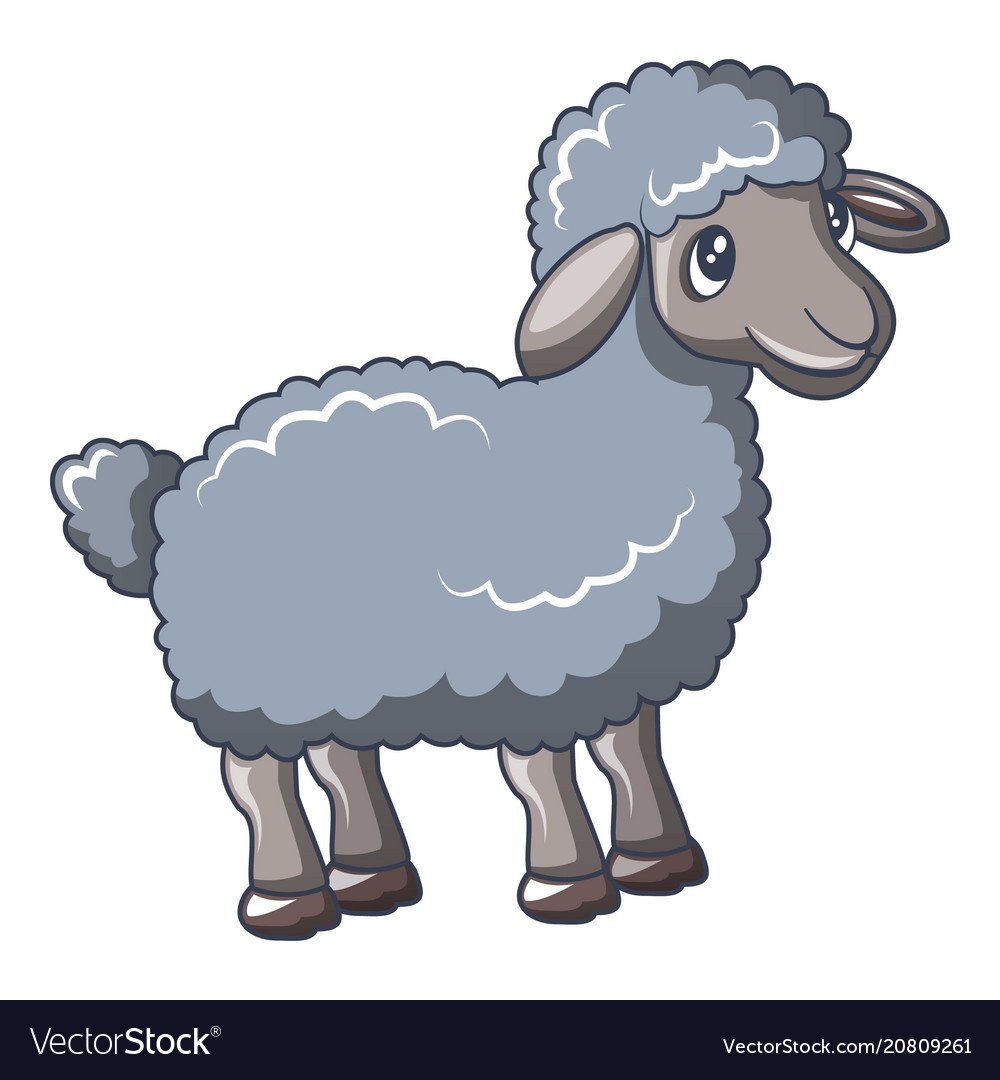 Овца серая на белом фоне