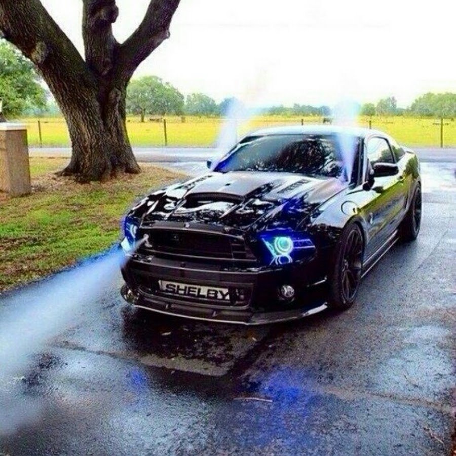 Ford Mustang gt500 Monster