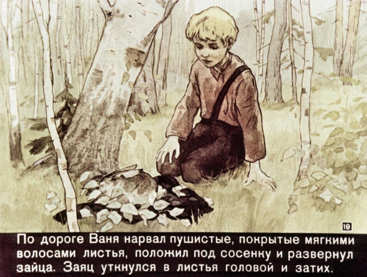 Паустовский заячьи лапы бабка Анисья