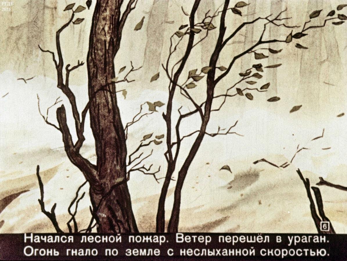 Рассказ Паустовского заячьи лапы