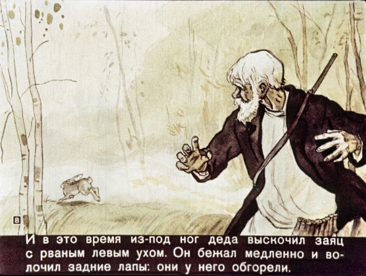 Остров заячья лапа