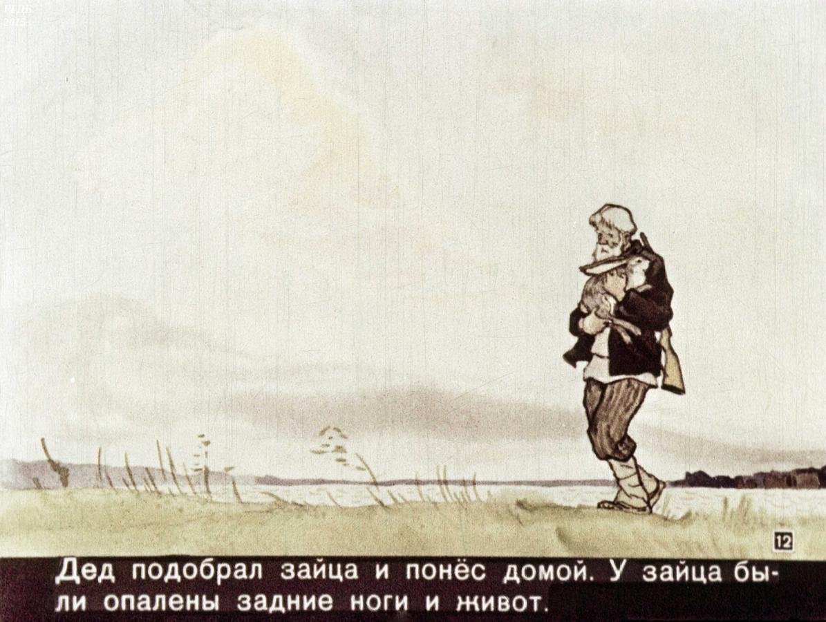 Паустовский заячьи лапы обложка книги