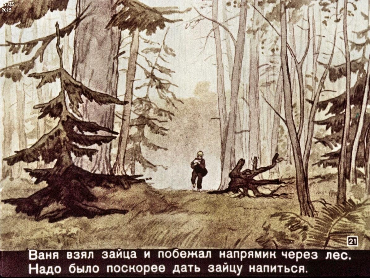 Паустовский заячьи лапы книга