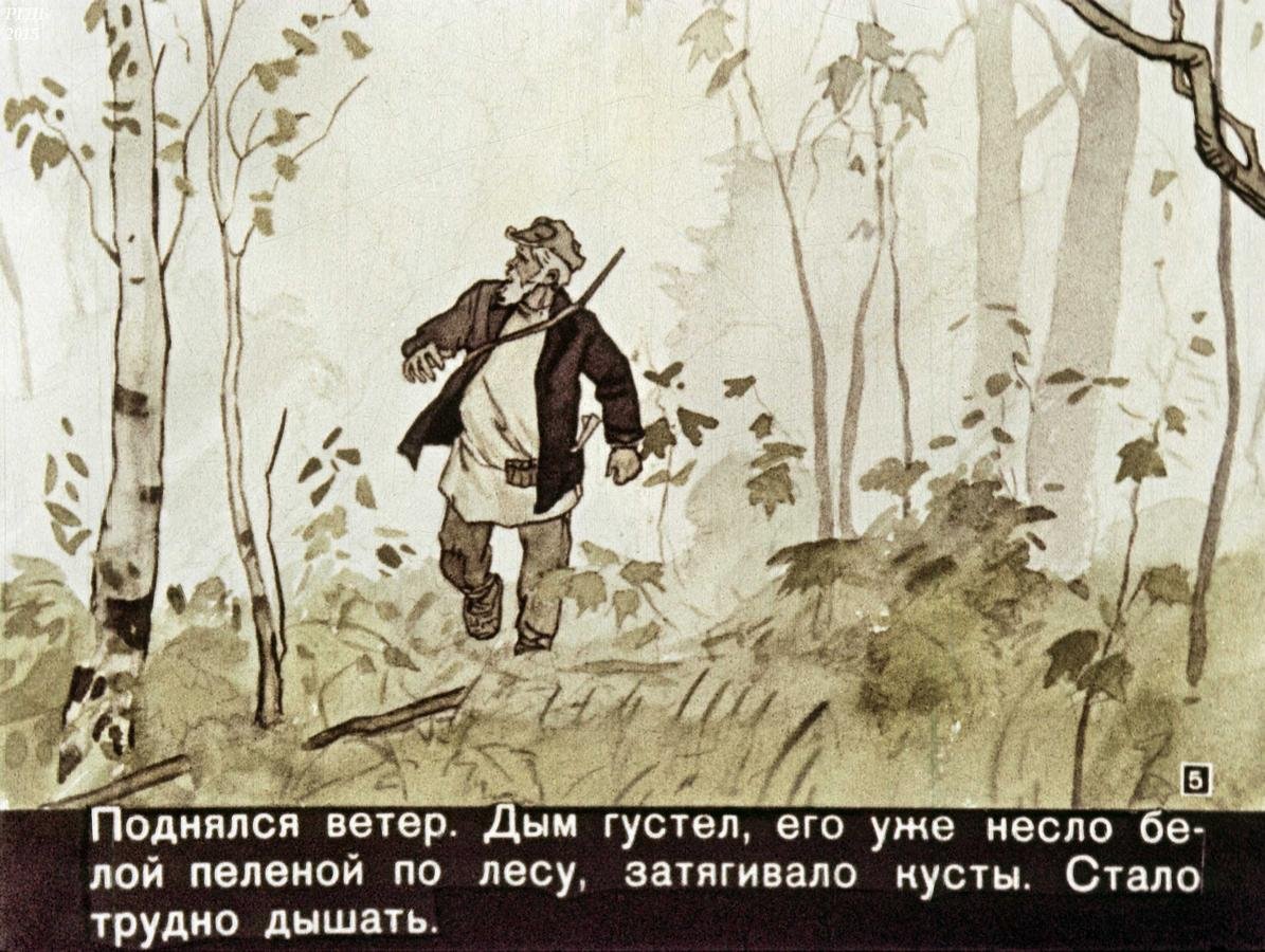 Паустовский заячьи лапы сколько страниц