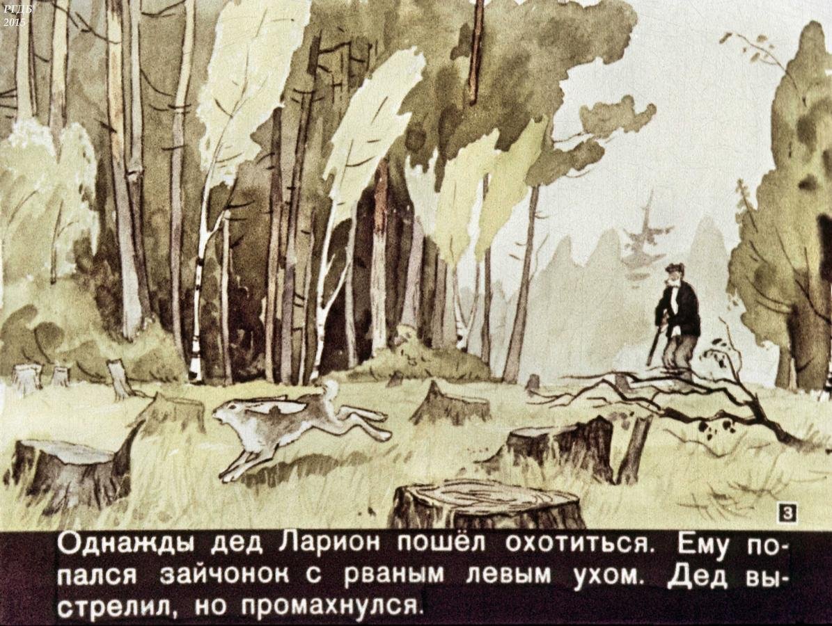 Заячьи лапы обложка