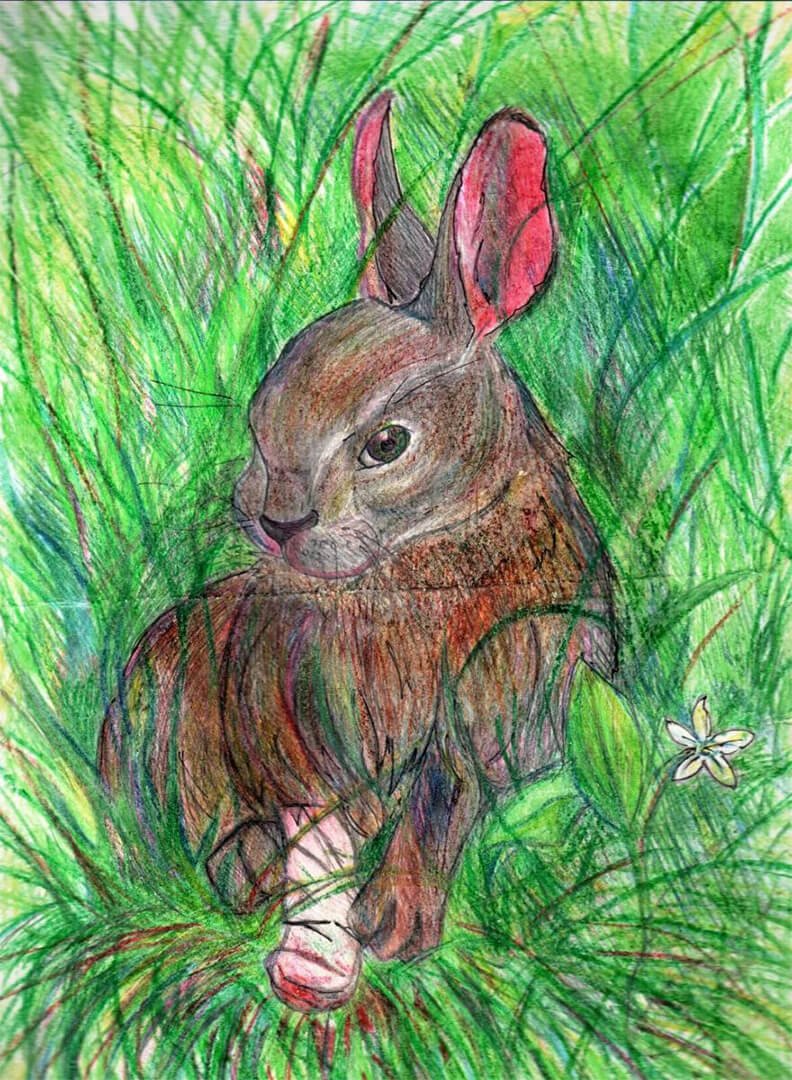 Заячьи лапы