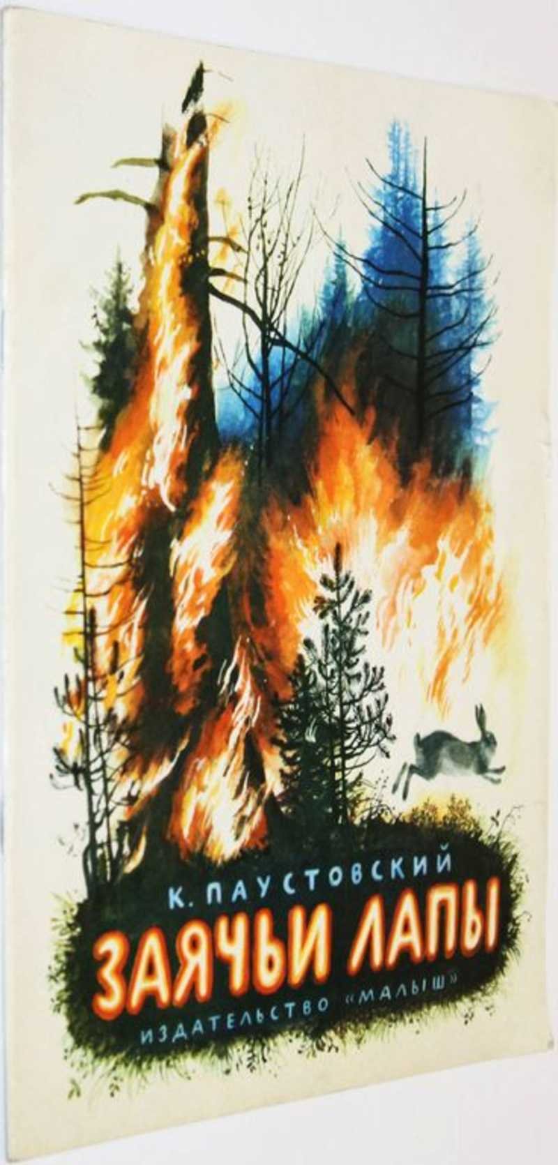 Заячьи лапы паустовский картинки