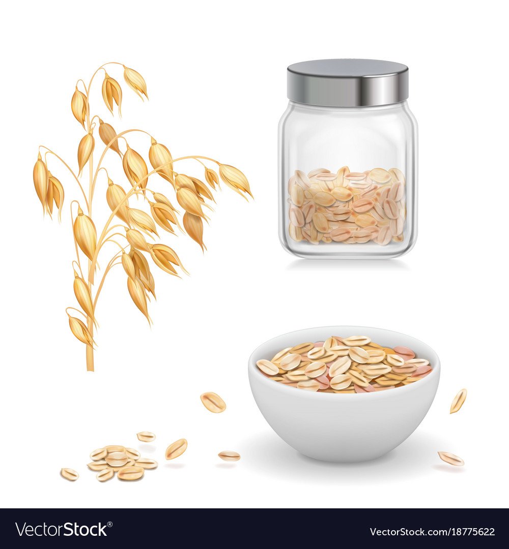 Овсяные хлопья вектор