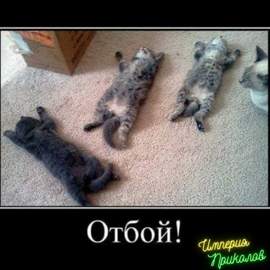 Клей момент демотиватор