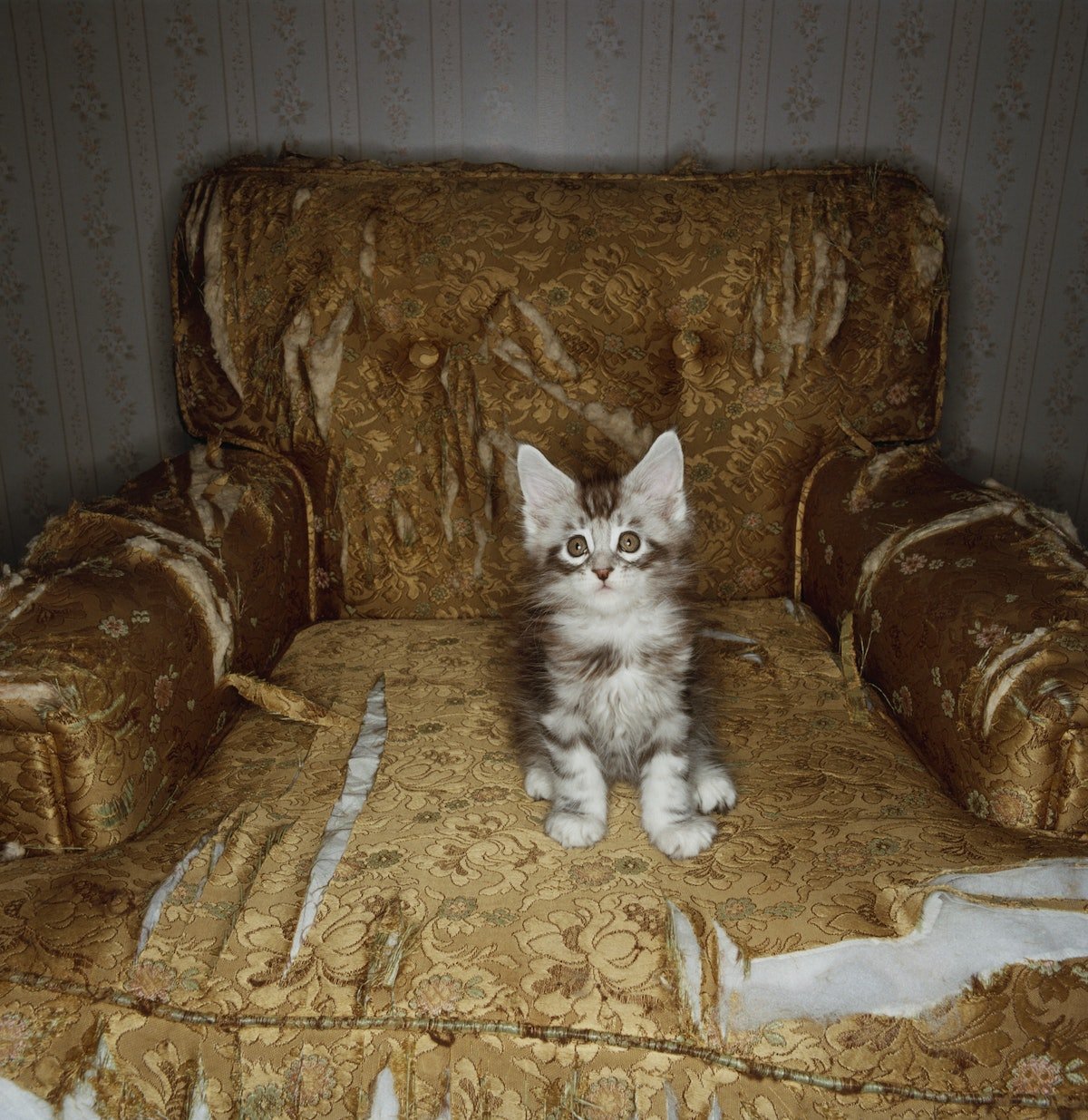 Отбой в казарме