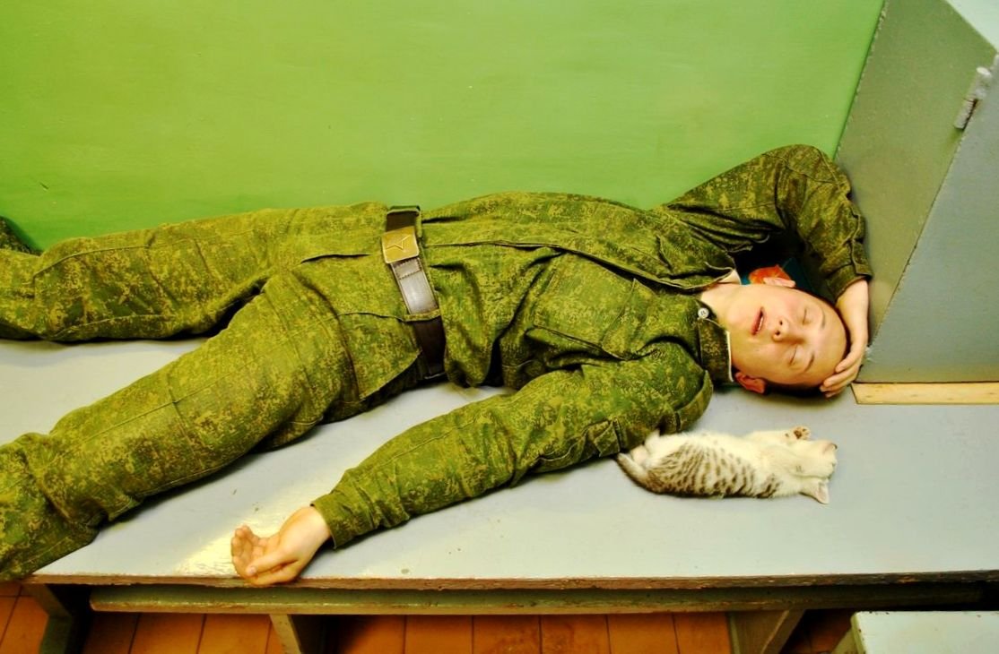 Смешные рисунки