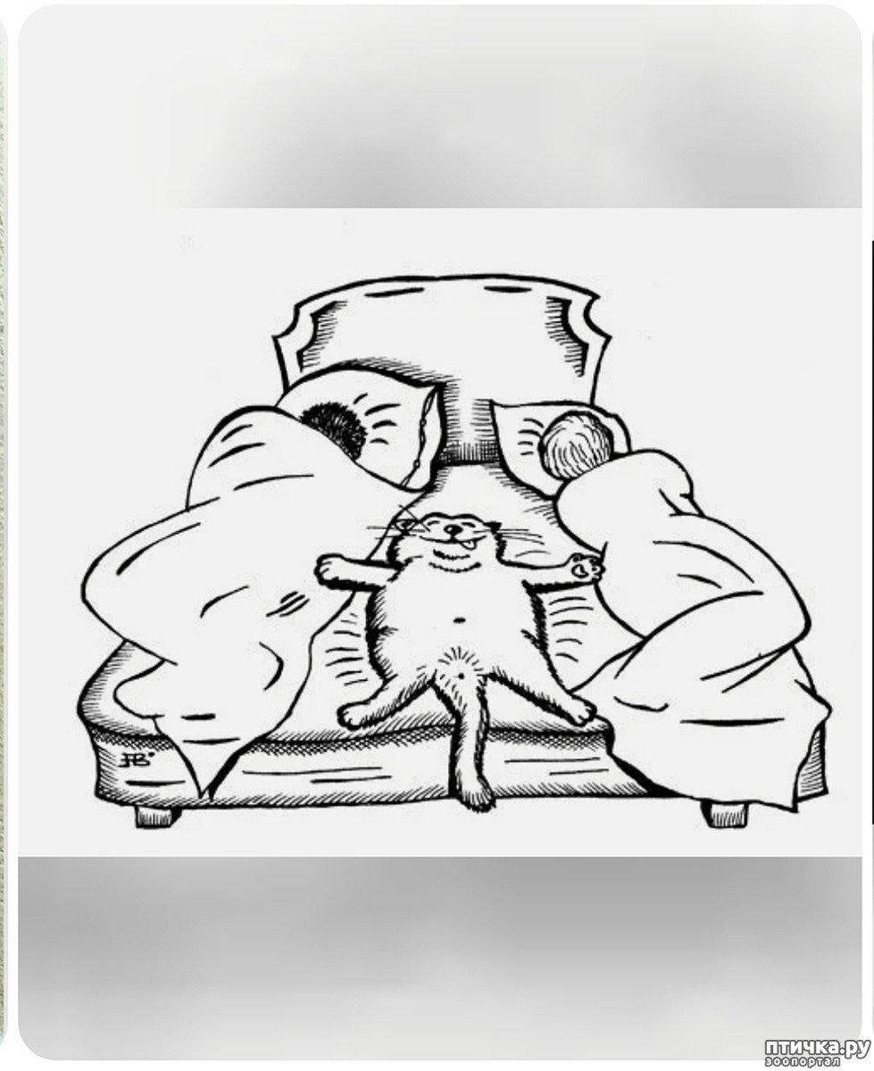 Приколы на тему отбоя