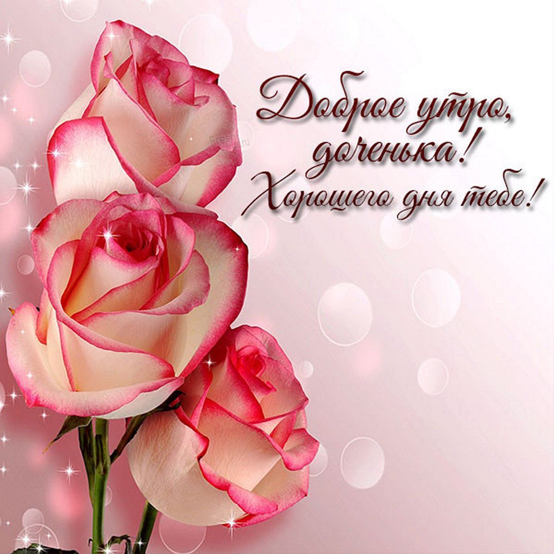 Поздравление с днём рождения коестнице