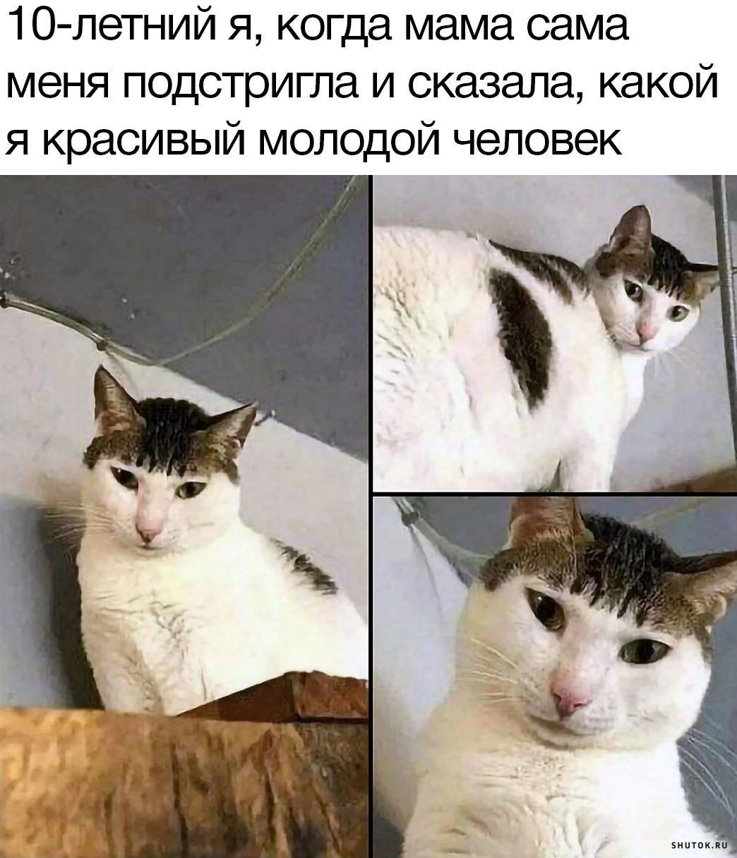 Режим дня сон