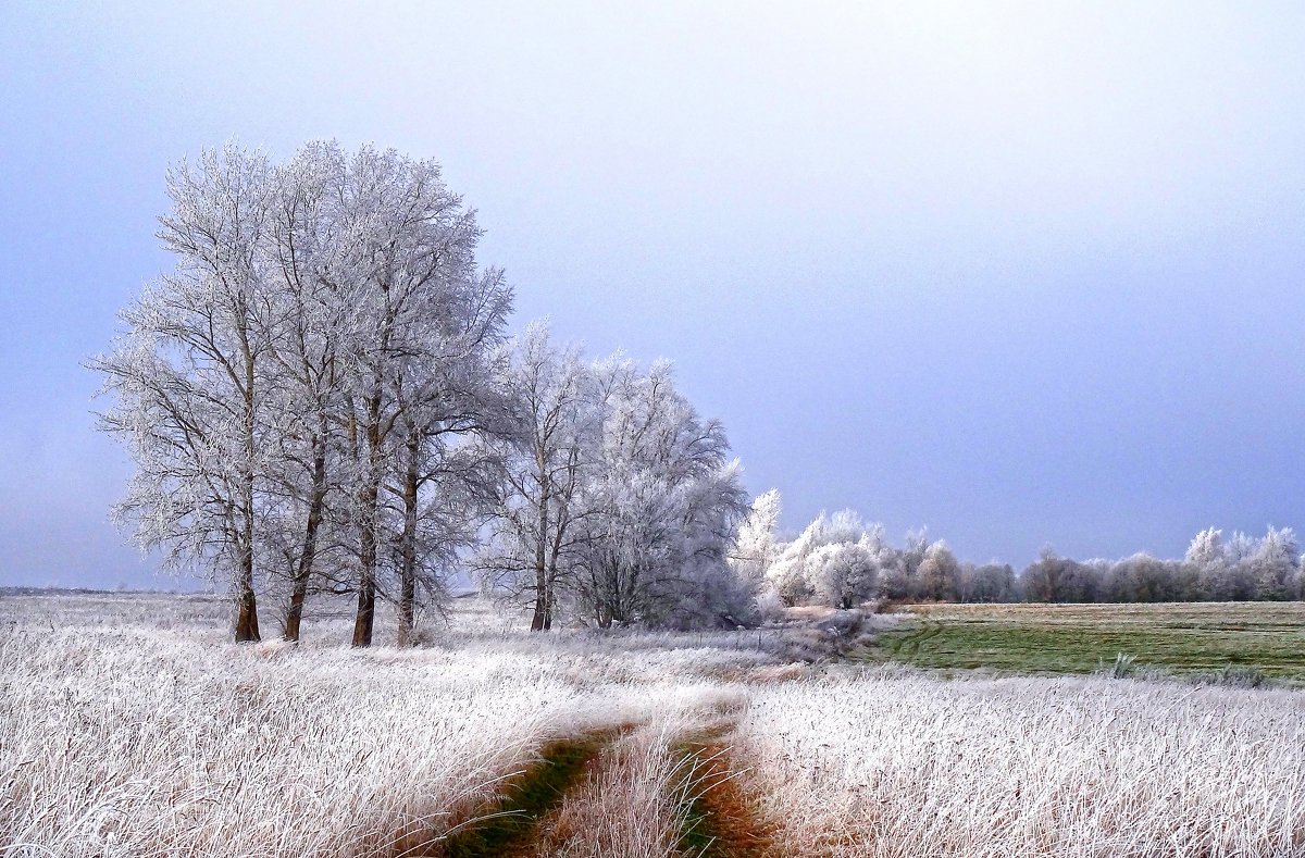 Ноябрь природа