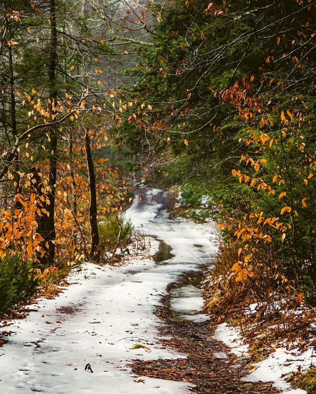 Ноябрь природа