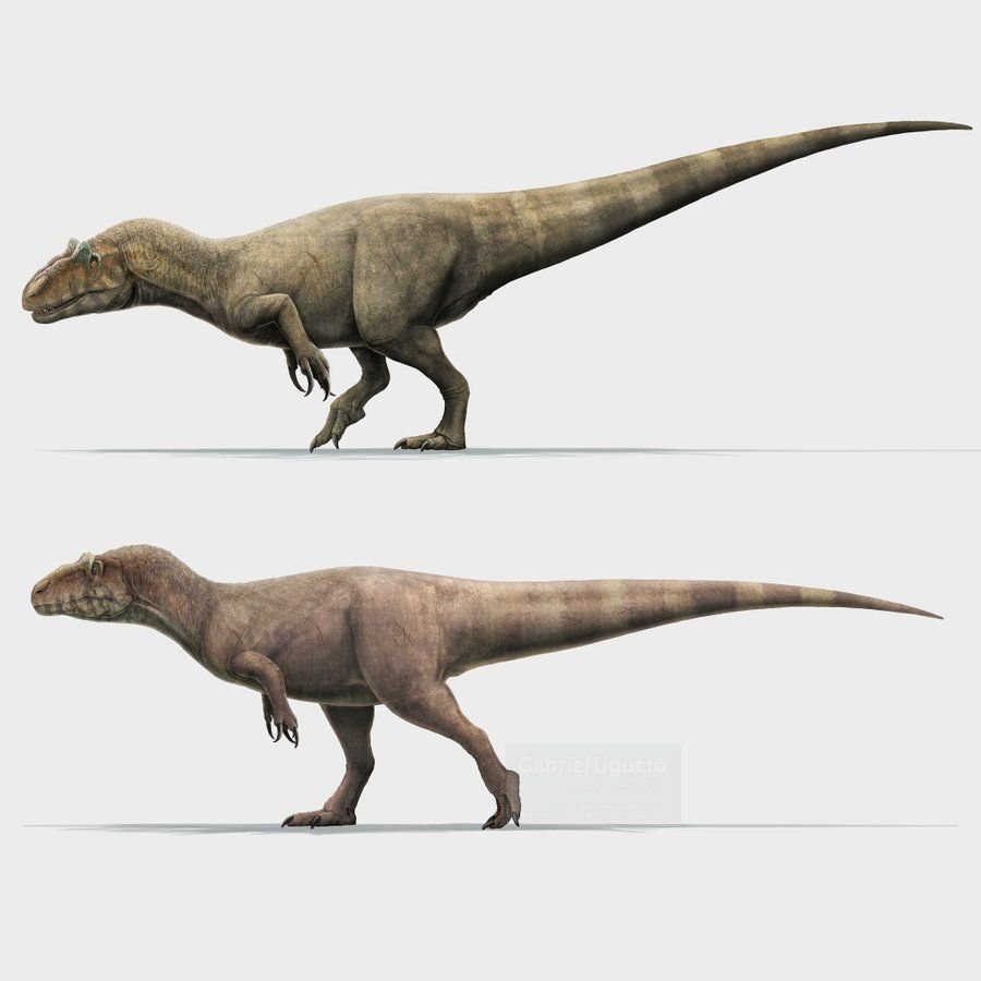 Allosaurus epanterias