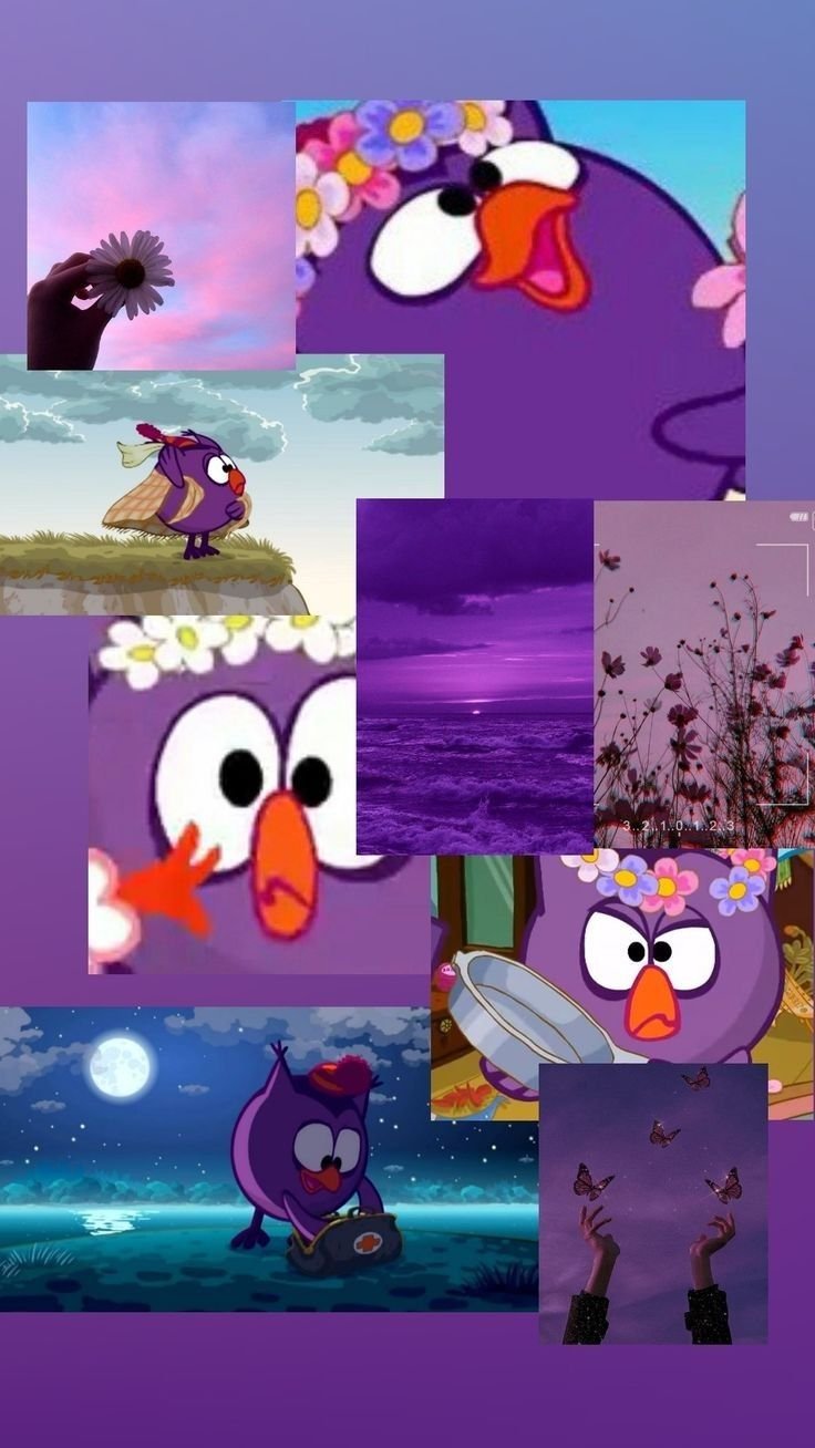 Совунья Эстетика