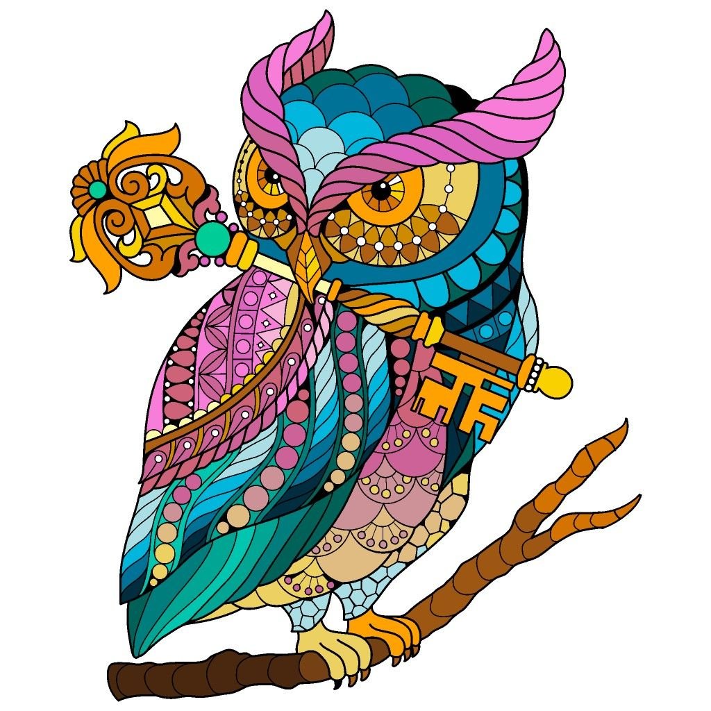 Сова Мандала цветная