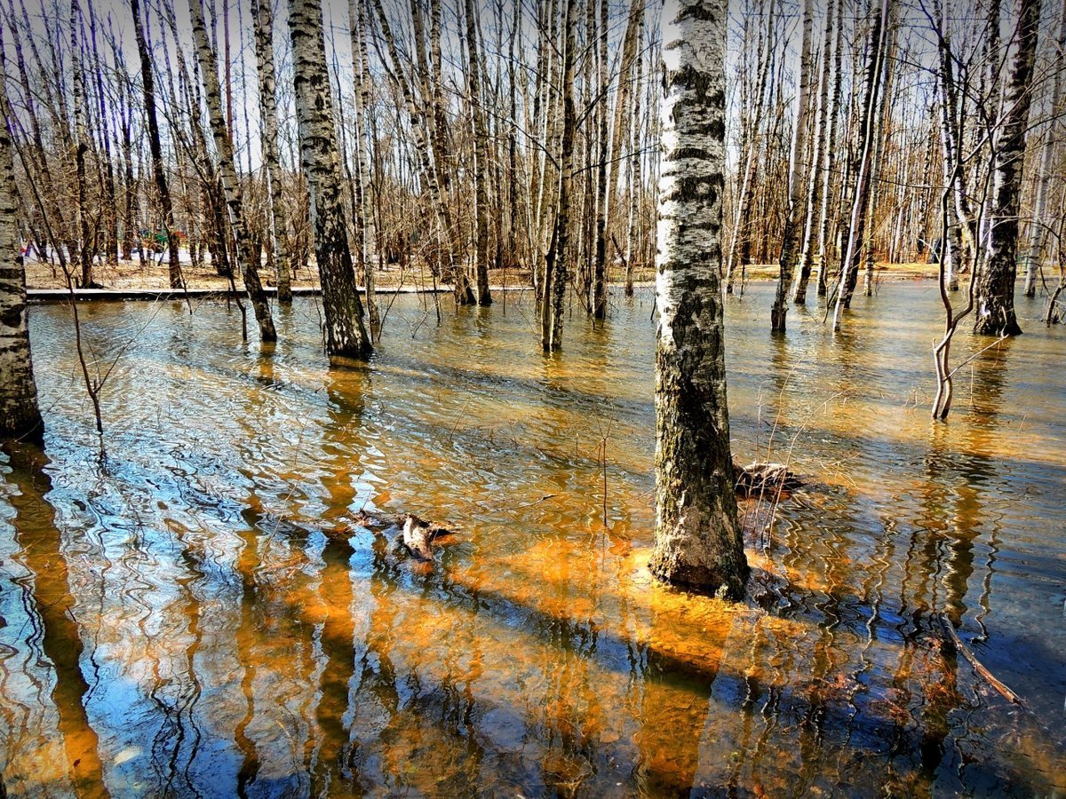 Ранняя Весна половодье
