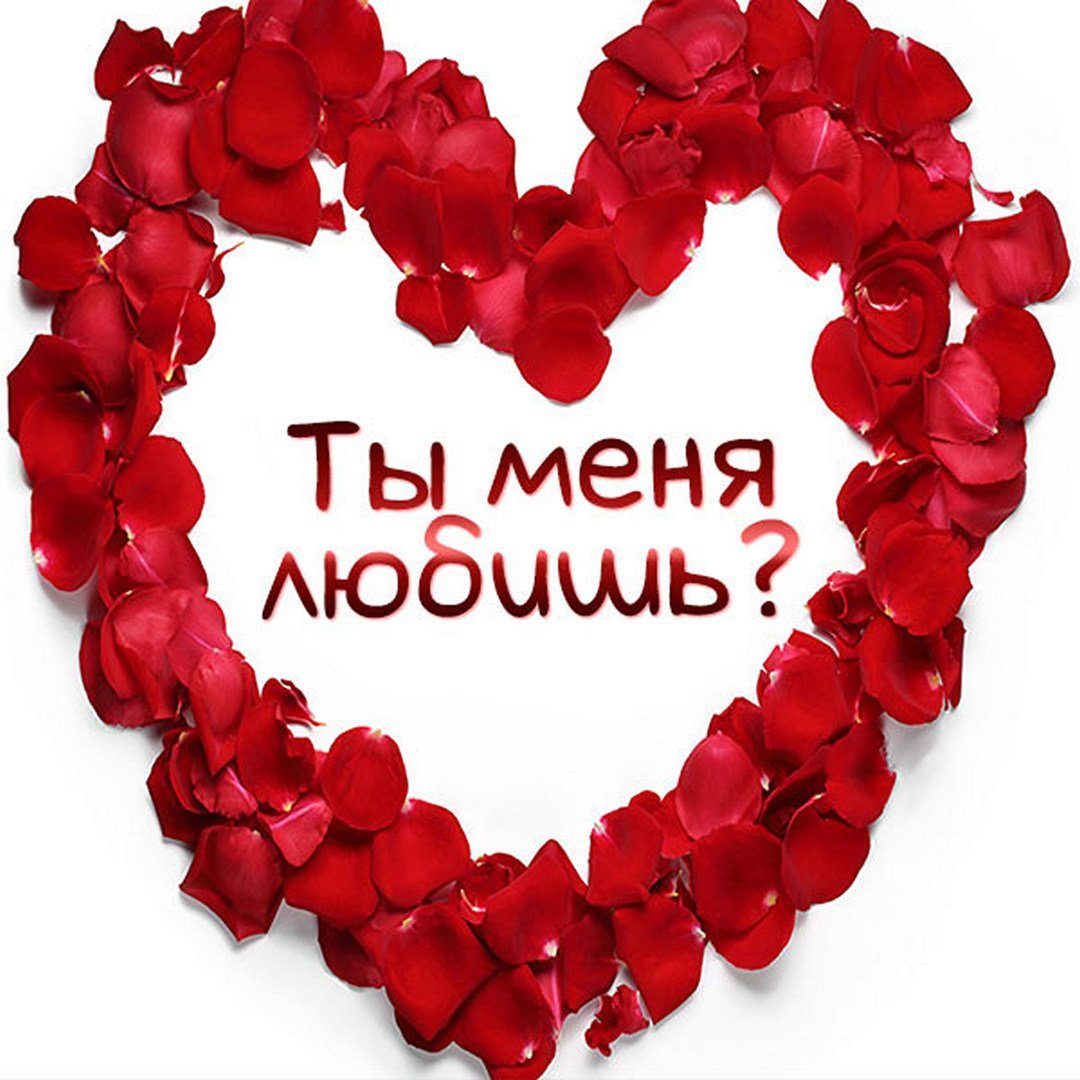 Прости меня любимый