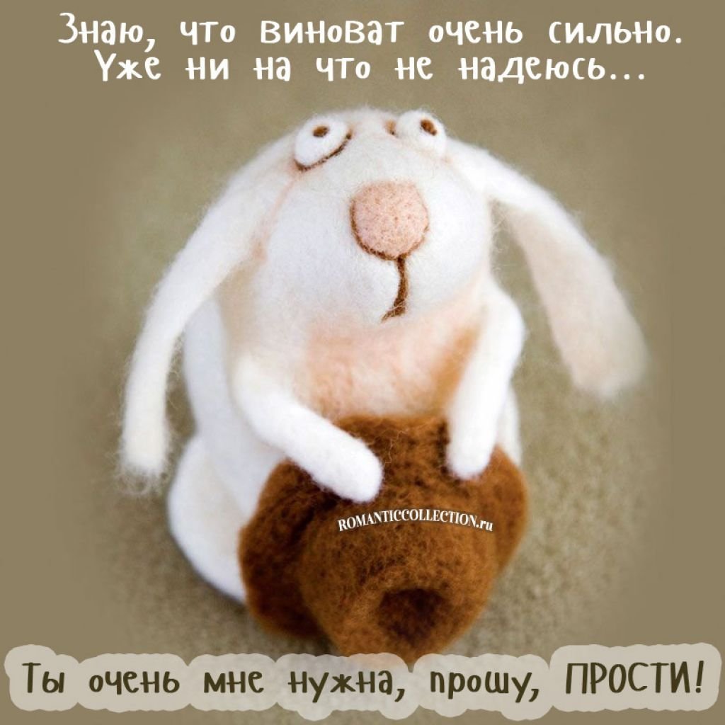 Зайка просит прощения