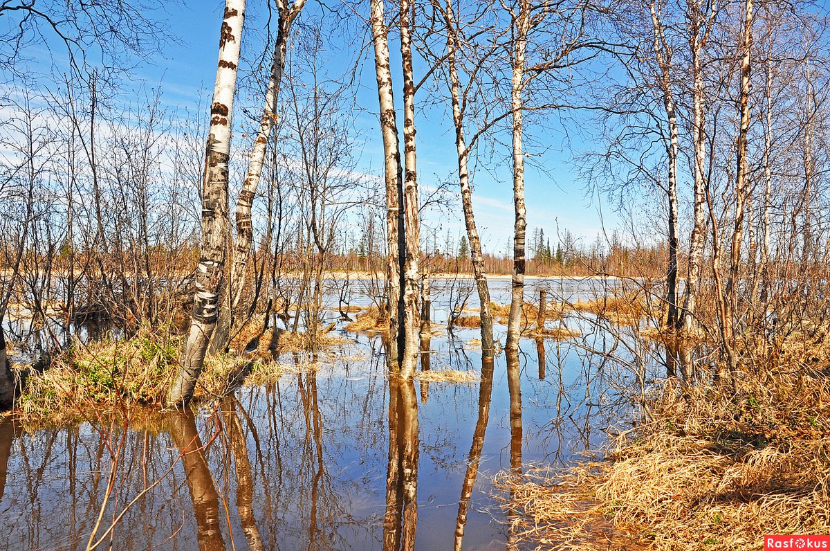Весеннее половодье