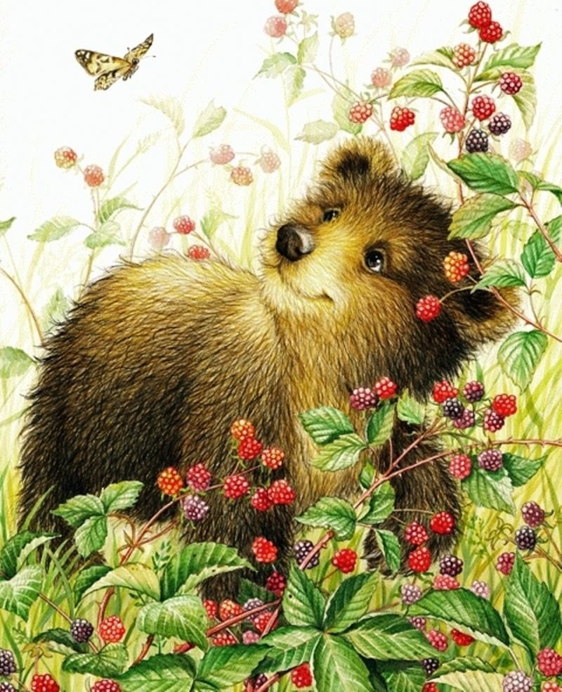 Медвежонок в лесу мультяшный