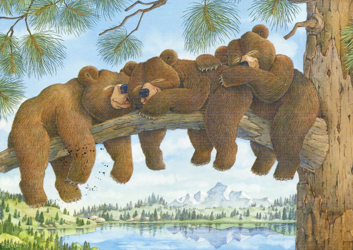 Мишка косолапый конфета к ССР