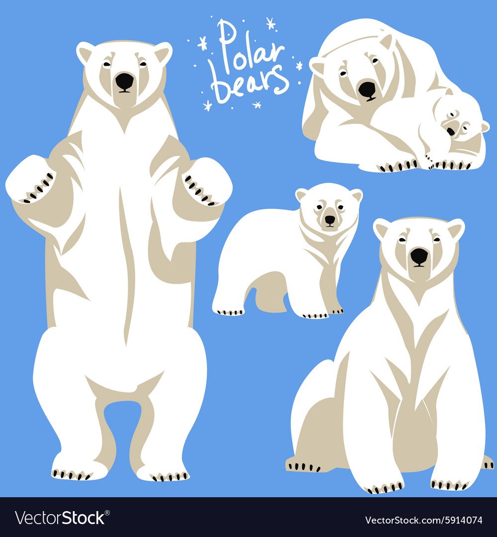 Белые мишки на окно