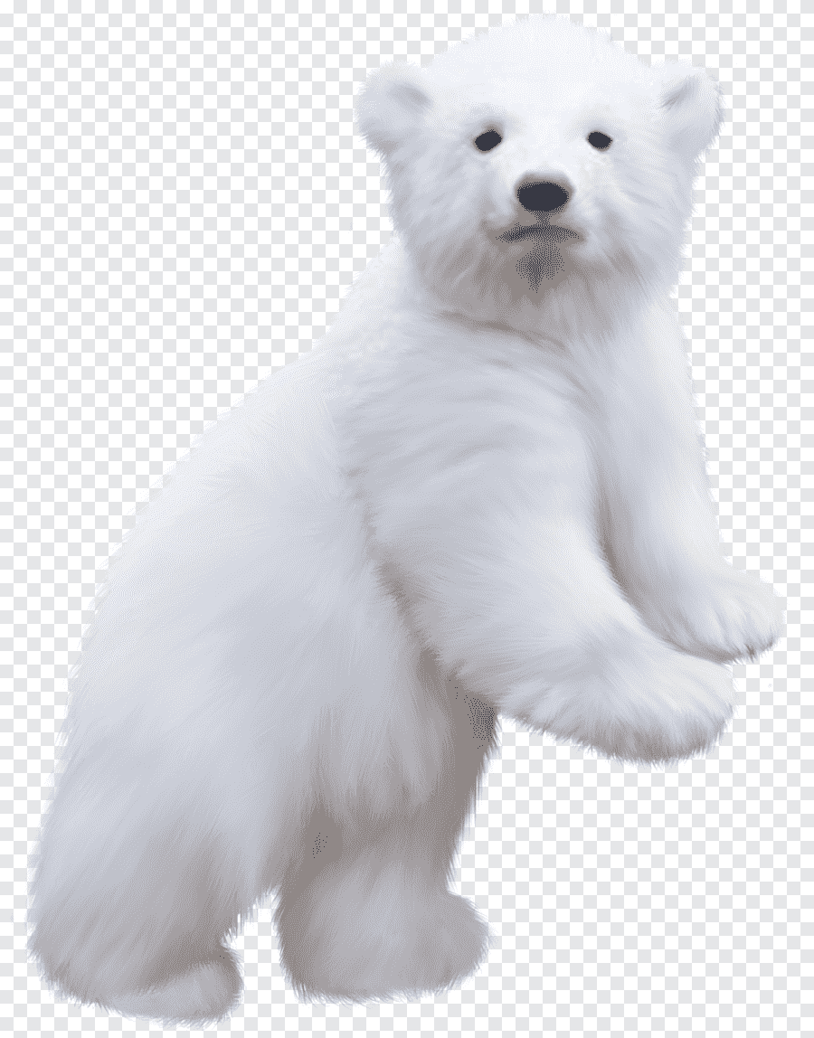 Мишка Тедди в зимней шапке