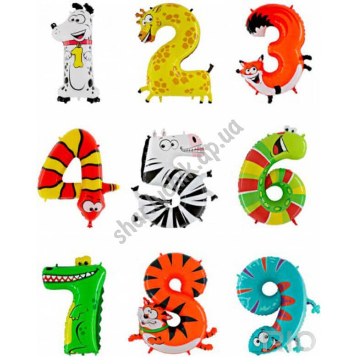 Дональд Золан портрет