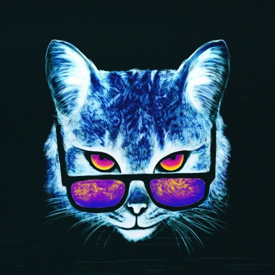 Котик в очках
