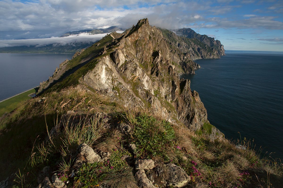 Карадаг мыс хамелеон