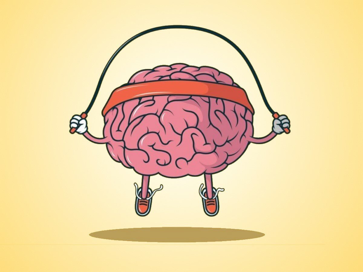 Мозг тренируется