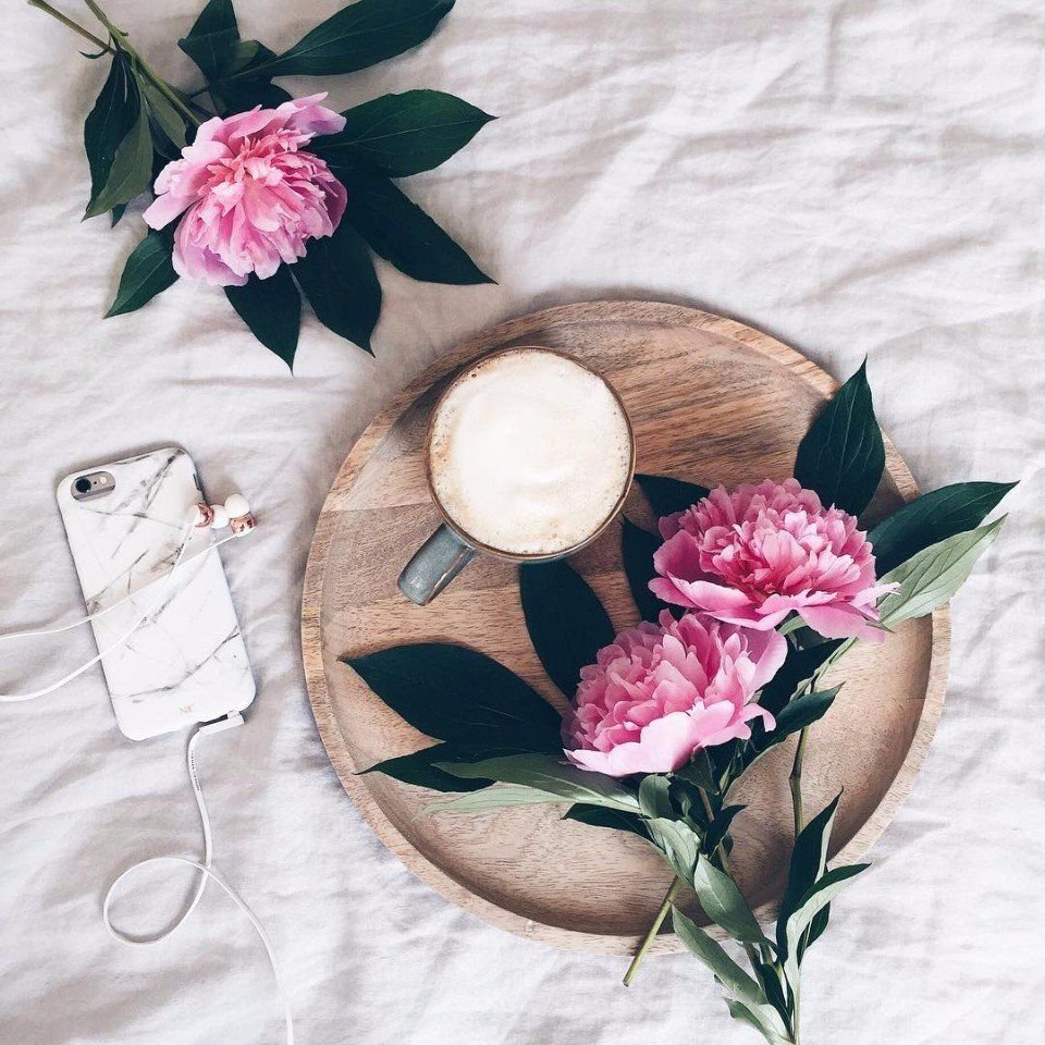 Композиция для предметной фотосъемки