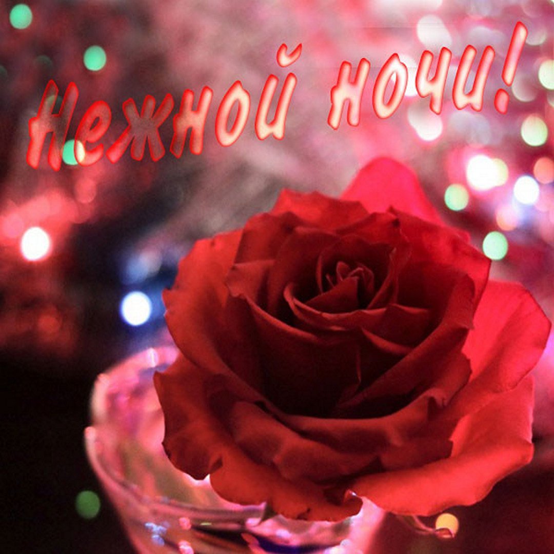 Спокойной ночи мама