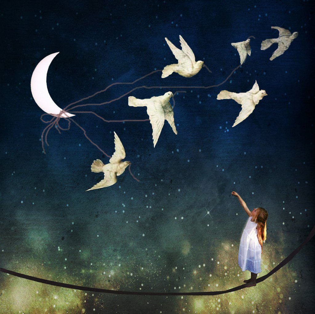 Christian Schloe птица