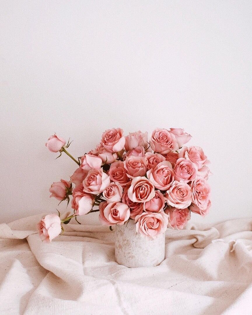 Розовые розы фон