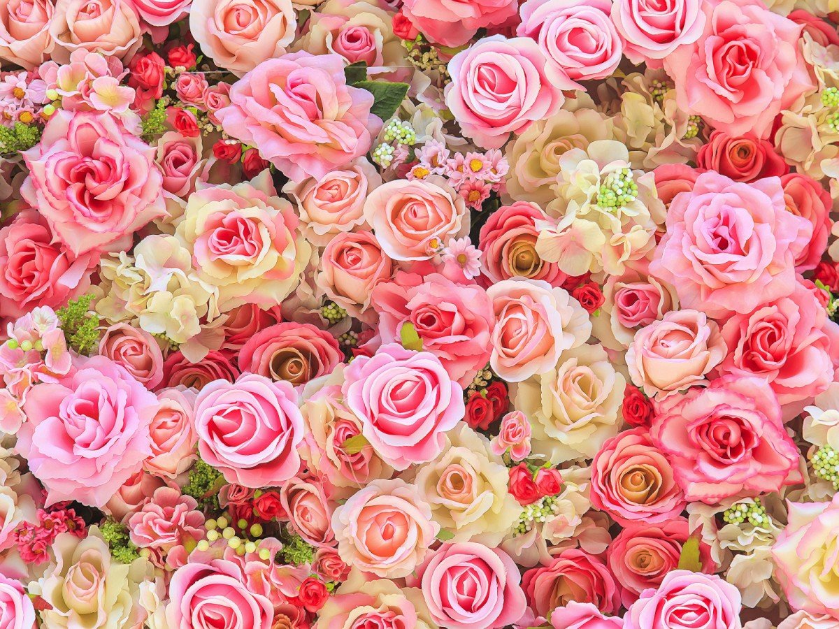 Цветы для эстетики