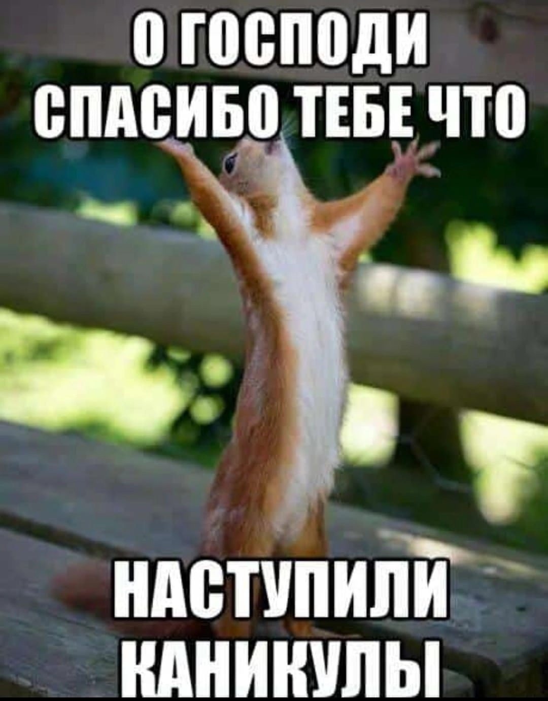 Скоро каникулы Мем