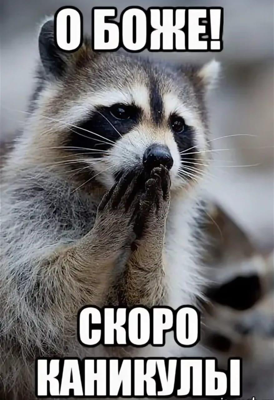 Скоро каникулы картинки