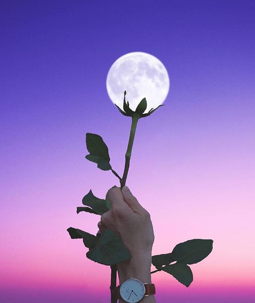 Вальпургиева ночь шабаш ведьм