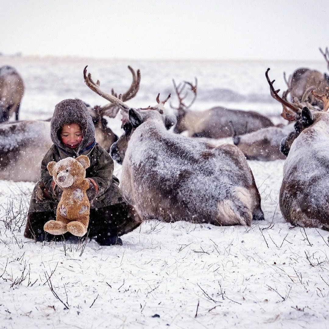 Ненцы зима