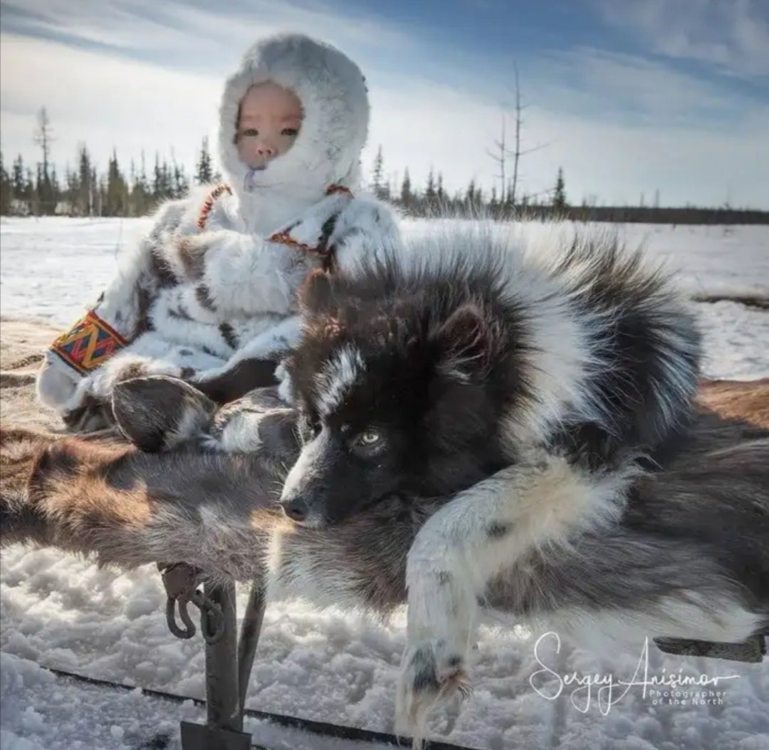 Коренные малочисленные народы России